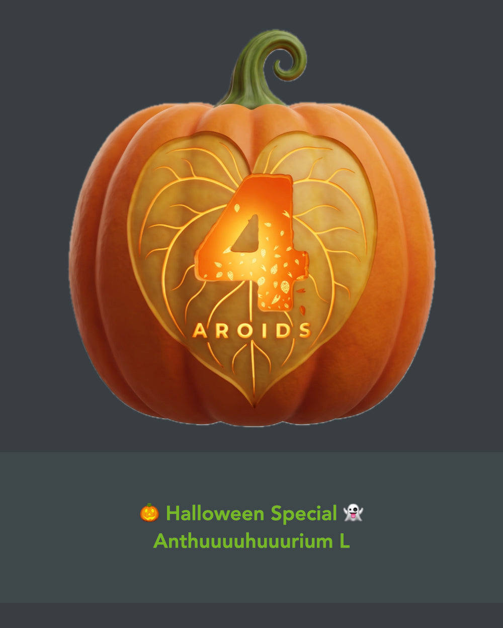 🎃 Halloween Special 👻 Anthuuuuhuuurium L