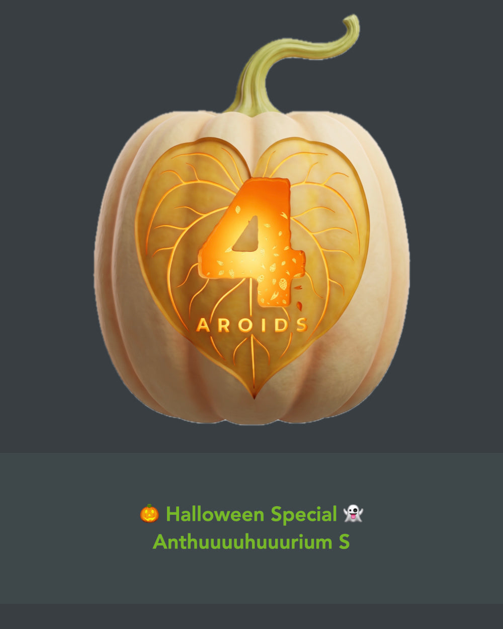 🎃 Halloween Special 👻 Anthuuuuhuuurium S