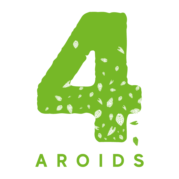 4 Aroids