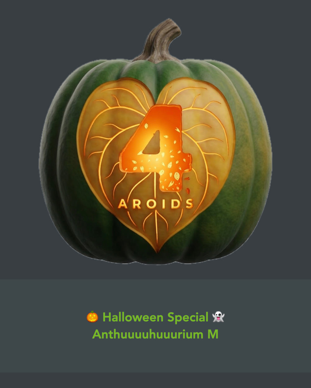 🎃 Halloween Special 👻 Anthuuuuhuuurium M